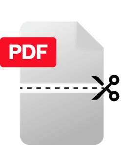 Split PDF Icon